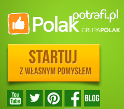 Co Polak Potrafi? Zapotrzebowanie na technologiczne projekty na polakpotrafi.pl, Crowdfunding